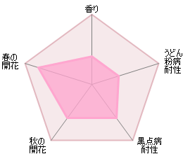 Ｌ.Ｄ.ブレスウェイト 鉢苗 - L D Braithwaite (Auscrim) - david-austin-roses-japan