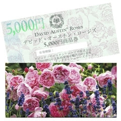 ギフト・バウチャー（商品券） - Gift Voucher 5,000 Yen - david-austin-roses-japan