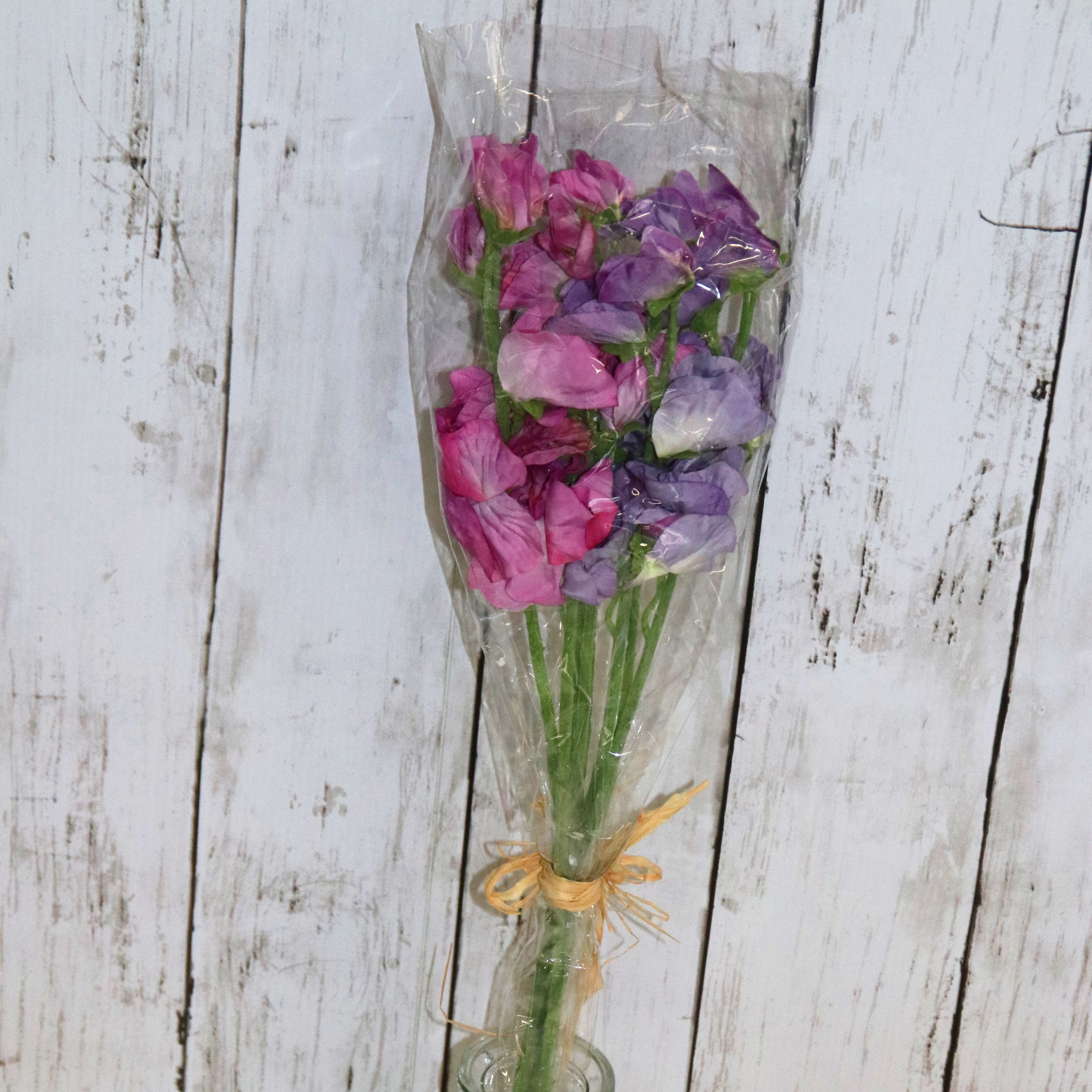 造花＞ スイートピー（パープル） - SWEETPEA PURPLE – David Austin