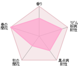 ウィズレー2008 鉢苗 - Wisley 2008 Potted (Ausbreeze)