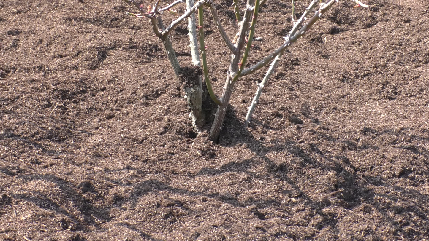 マルチ - MULCH 40L