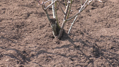 マルチ - MULCH 40L